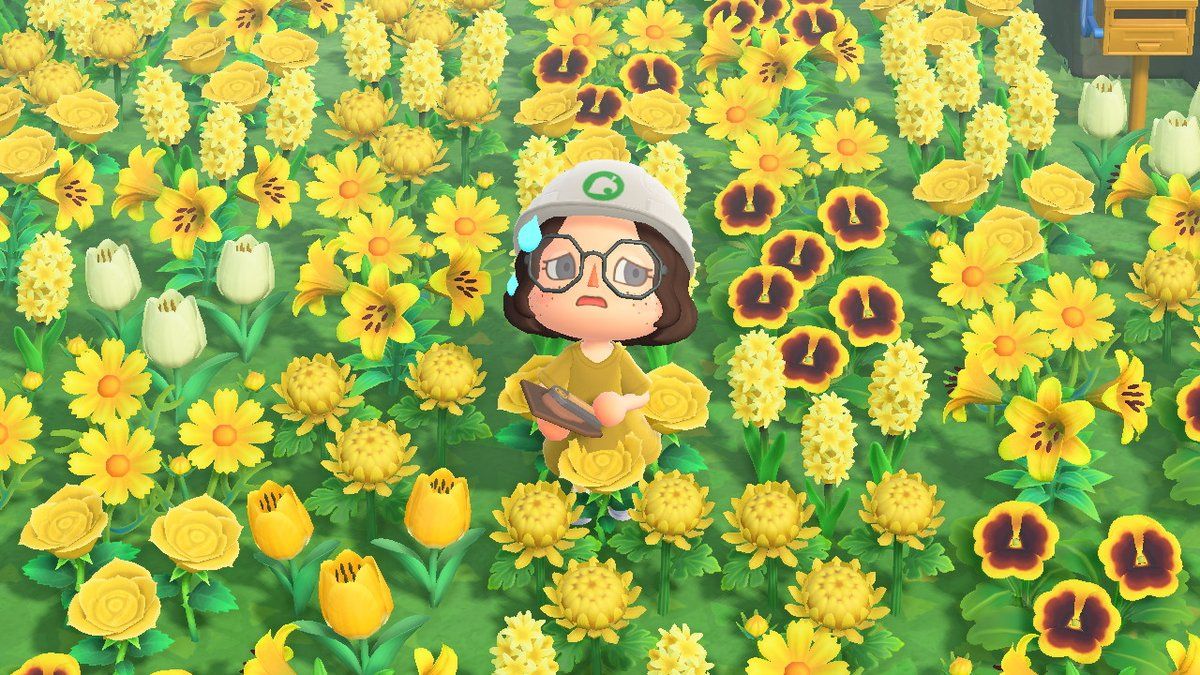 《集合啦！动物森友会》对比《Tomodachi Life: Living the Dream》，我们不得不做的横向测评